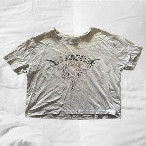 Hollister Light Blue Crop Top with Graphic Design